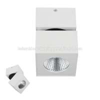 Rotated Surface Mounted Square Spotlight 10W/20W/30W For Funitrue,Ceiling Mounted Spotlight